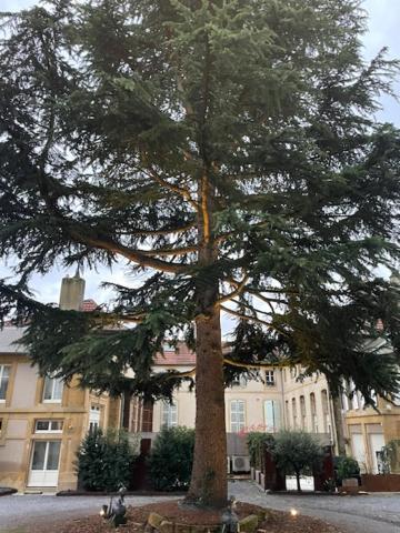 La Cour De La Tresorerie Metz Eksteriør billede